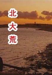 黄色一级大片免费看